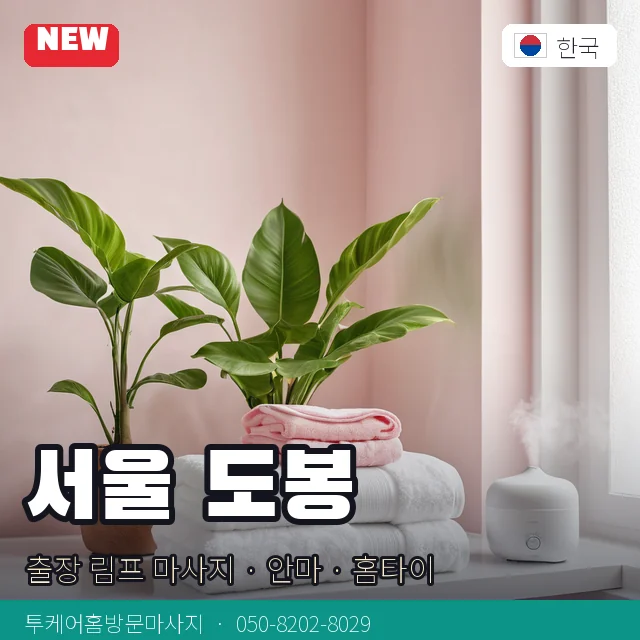 서울 도봉 출장 림프 마사지 · 안마 · 홈타이 안내 카드